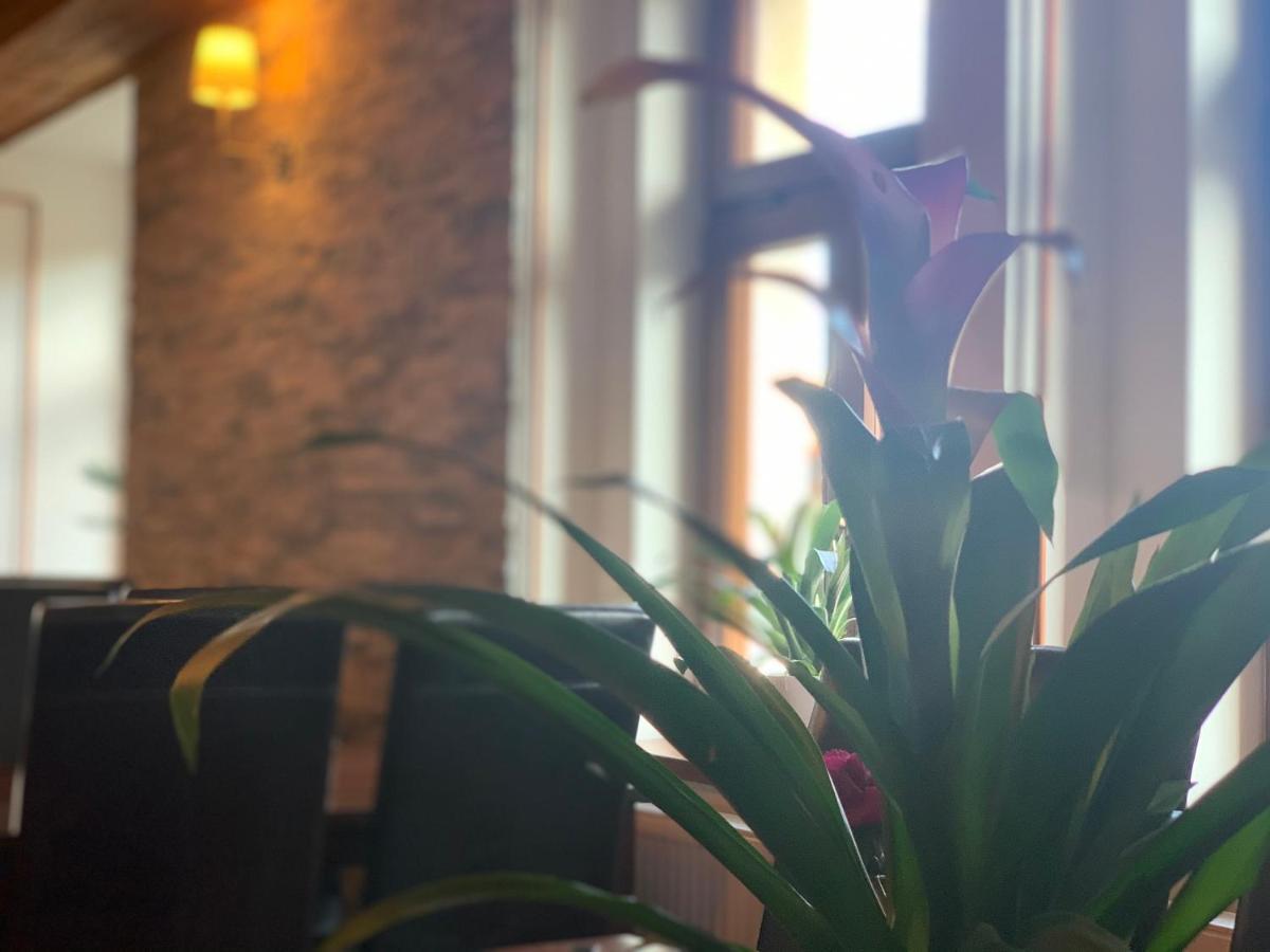 Uniqhotel Cesky Sternberk Bagian luar foto
